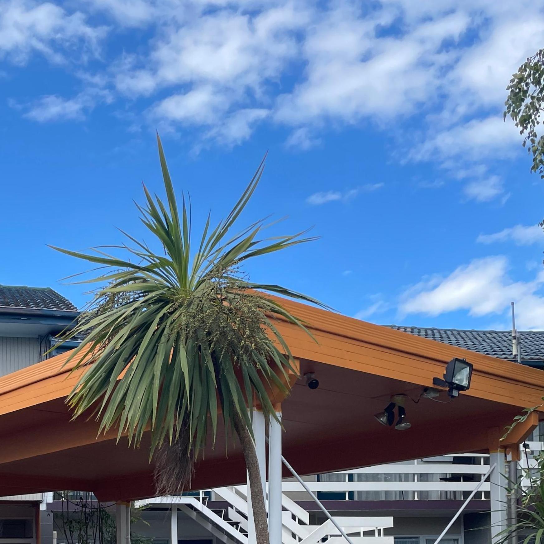 Mount Eden Motel Auckland Ngoại thất bức ảnh